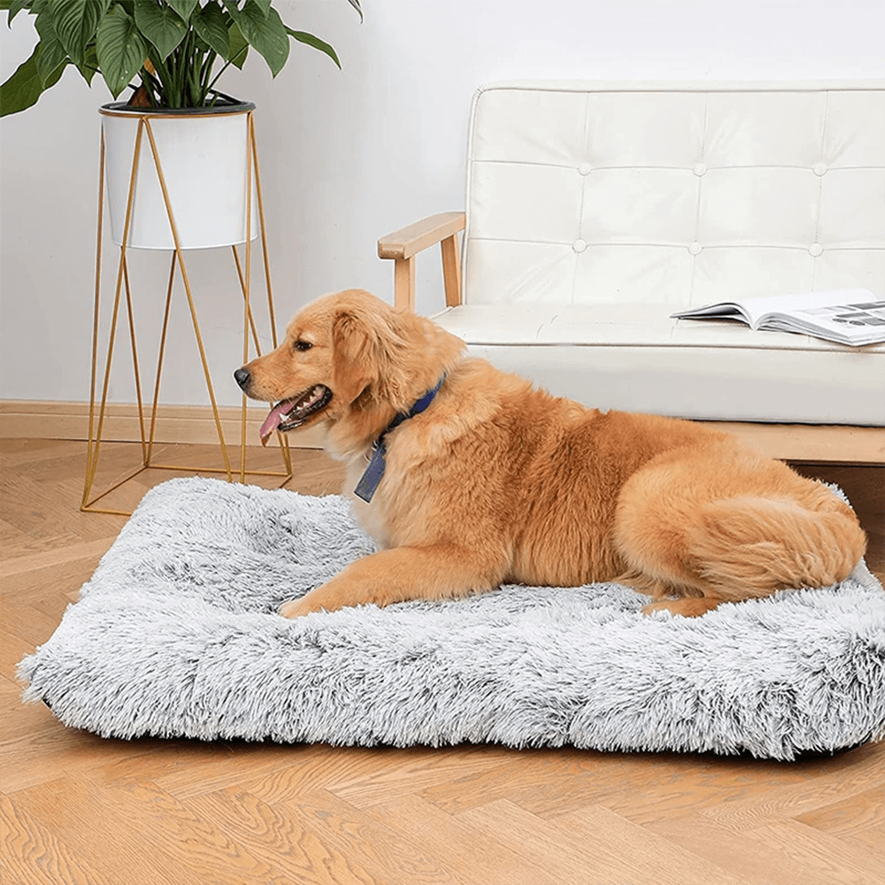 Pet Sleep Ergonomic Bed